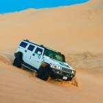 Liwa Desert Safari Profile Picture