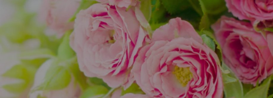 floraisonflowers Cover Image