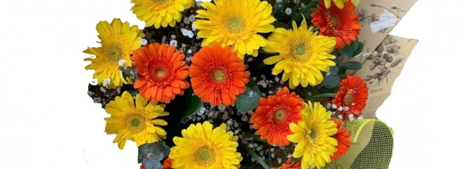 living flowers Cover Image