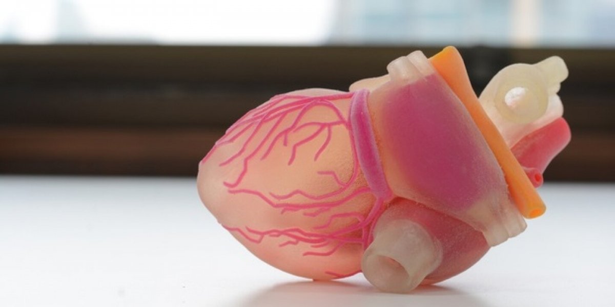 Artificial Organ Market Outlook [2025-2034] | Industry Insights, Overview, Comprehensive Analysis, Emerging Trends, Stat