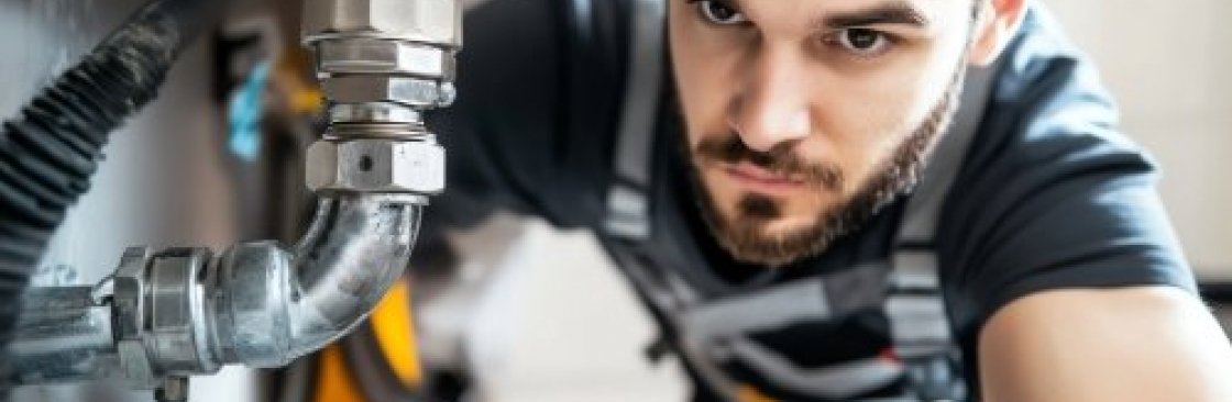 Spolbilarna Cover Image