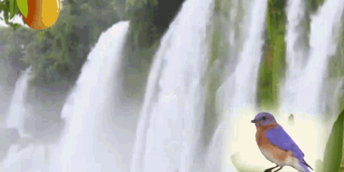 Sportivize – Visualizing Sporting Worlds